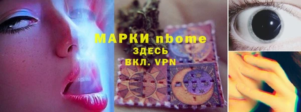 индика Новокубанск